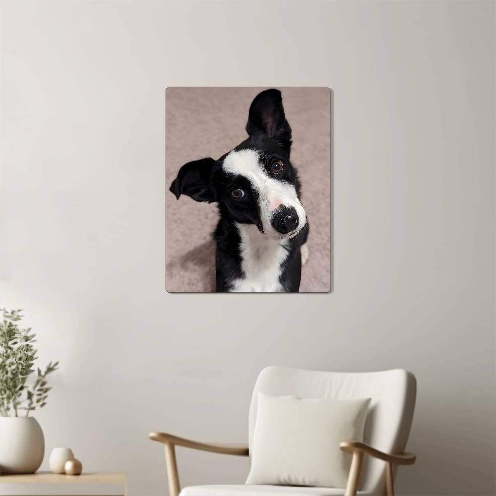 Montana, Hi-Gloss Metal Wall Art Print - YERTIZZ.COM