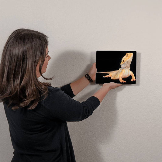 Bearded Dragon, Hi-Gloss Metal Wall Art Print, Landscape - YERTIZZ.COM