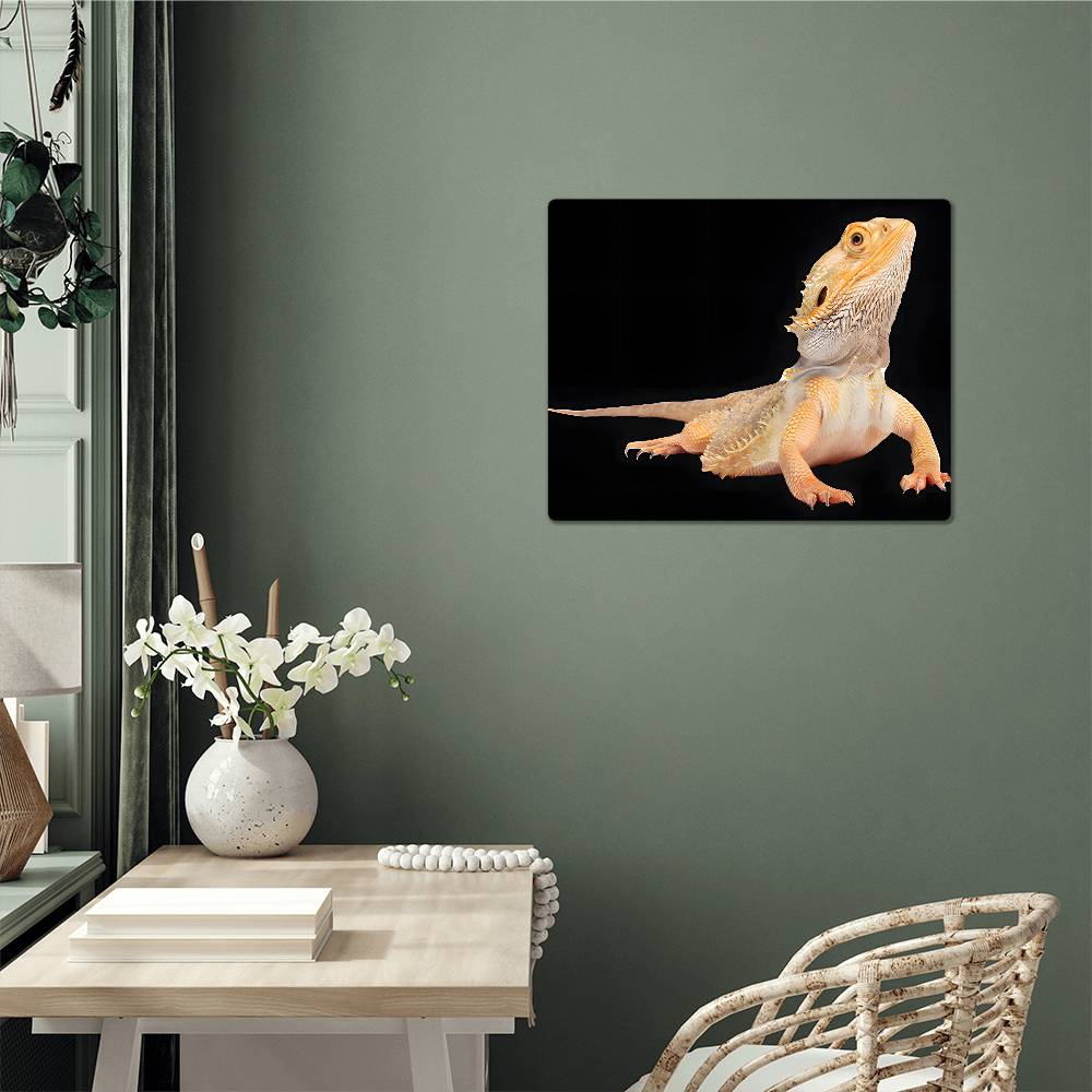 Bearded Dragon, Hi-Gloss Metal Wall Art Print, Landscape - YERTIZZ.COM