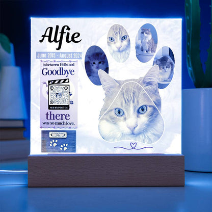 In Memory of Our Dearest Cat Alfie, June 2015 - August 2024, Acrylic Square Print - YERTIZZ.COM