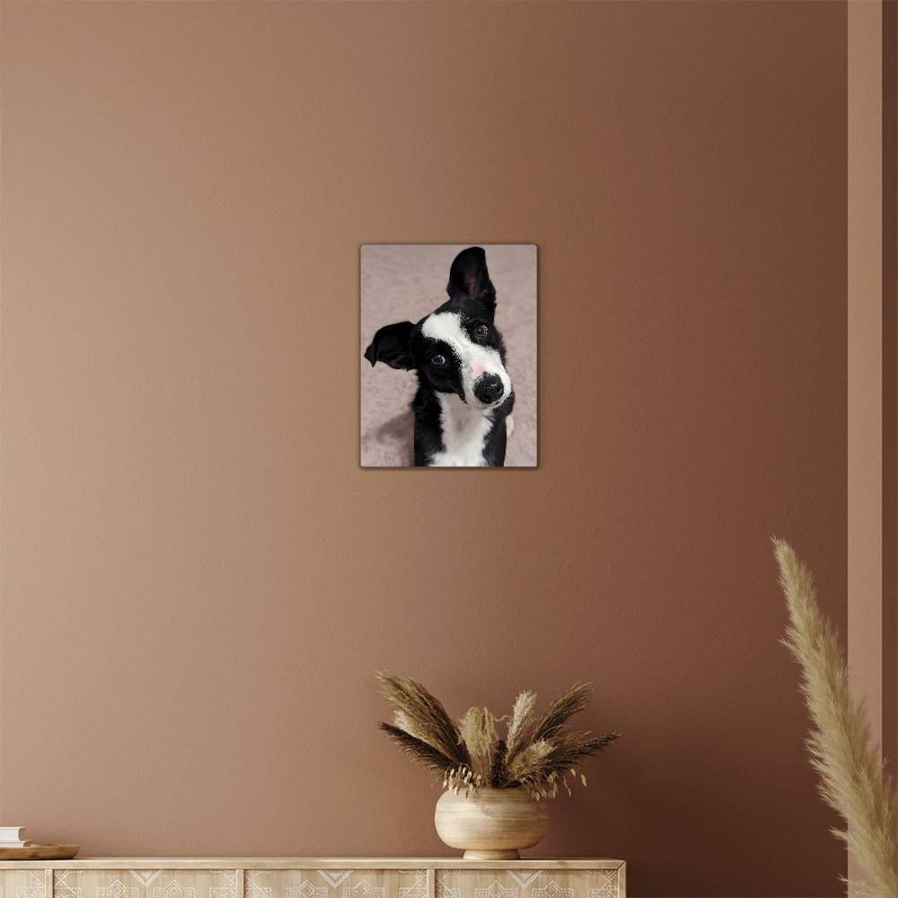 Montana, Hi-Gloss Metal Wall Art Print - YERTIZZ.COM