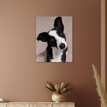 Montana, Hi-Gloss Metal Wall Art Print - YERTIZZ.COM