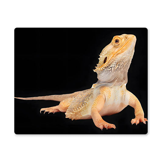 Bearded Dragon, Hi-Gloss Metal Wall Art Print, Landscape - YERTIZZ.COM
