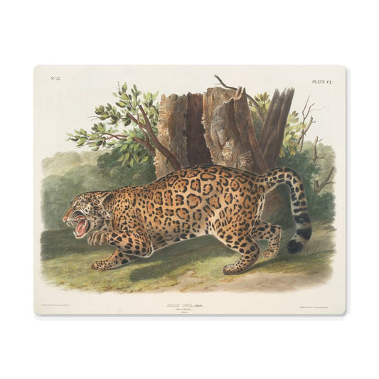 Female Jaguar-From a Print, Metal Art Print - YERTIZZ.COM