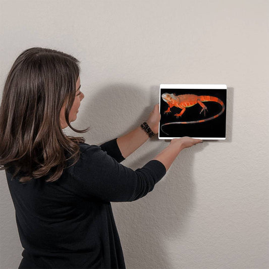 Red Iguana, Hi Gloss Metal Wall Art Print - YERTIZZ.COM