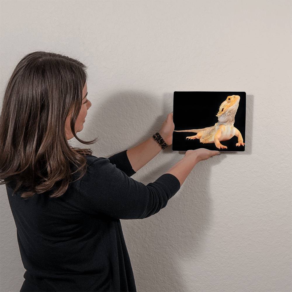 Bearded Dragon, Hi-Gloss Metal Wall Art Print, Landscape - YERTIZZ.COM