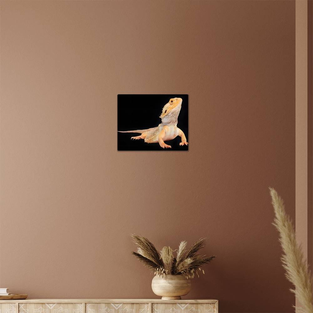 Bearded Dragon, Hi-Gloss Metal Wall Art Print, Landscape - YERTIZZ.COM