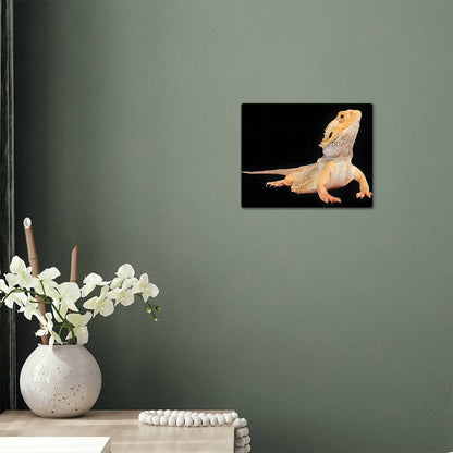 Bearded Dragon, Hi-Gloss Metal Wall Art Print, Landscape - YERTIZZ.COM