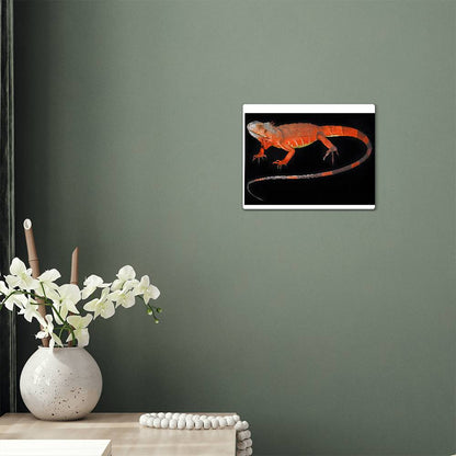 Red Iguana, Hi Gloss Metal Wall Art Print - YERTIZZ.COM