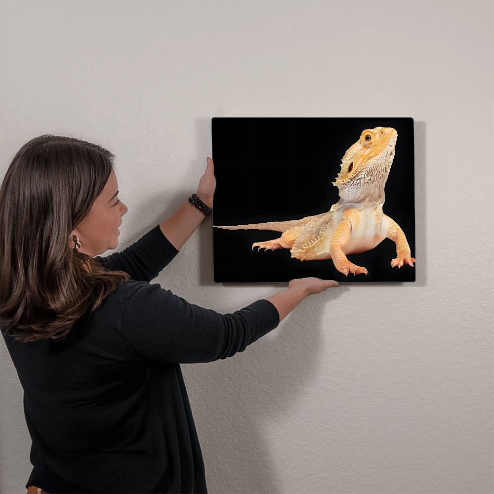 Bearded Dragon, Hi-Gloss Metal Wall Art Print, Landscape - YERTIZZ.COM