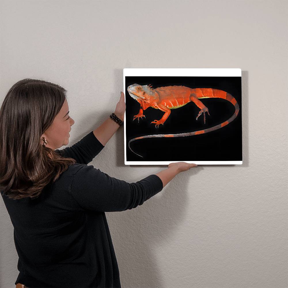 Red Iguana, Hi Gloss Metal Wall Art Print - YERTIZZ.COM
