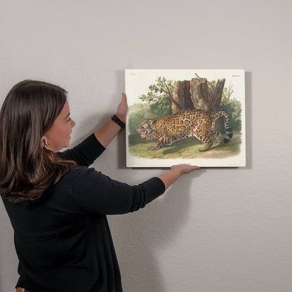 Female Jaguar-From a Print, Metal Art Print - YERTIZZ.COM
