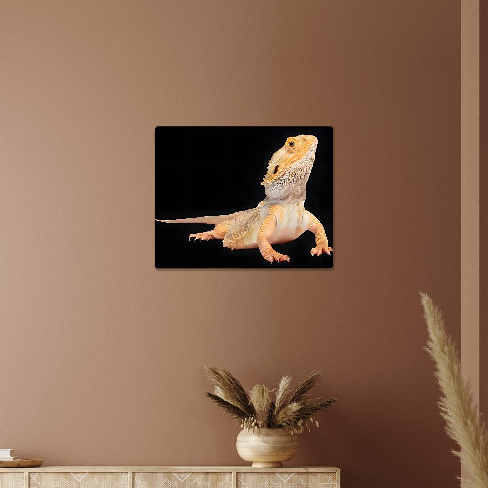 Bearded Dragon, Hi-Gloss Metal Wall Art Print, Landscape - YERTIZZ.COM