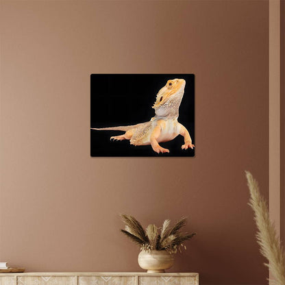 Bearded Dragon, Hi-Gloss Metal Wall Art Print, Landscape - YERTIZZ.COM
