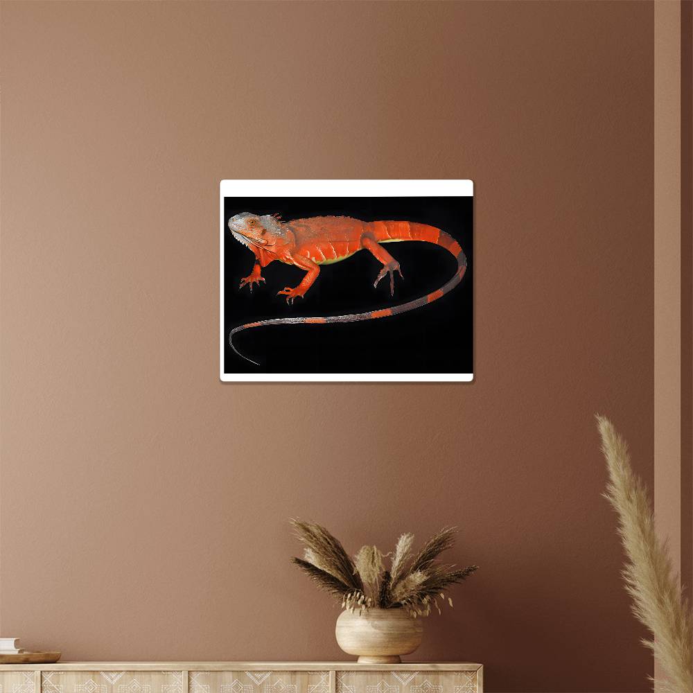 Red Iguana, Hi Gloss Metal Wall Art Print - YERTIZZ.COM
