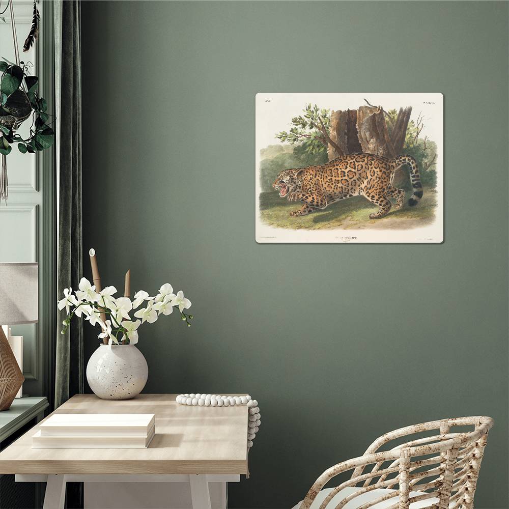 Female Jaguar-From a Print, Metal Art Print - YERTIZZ.COM