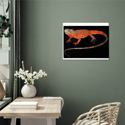 Red Iguana, Hi Gloss Metal Wall Art Print - YERTIZZ.COM
