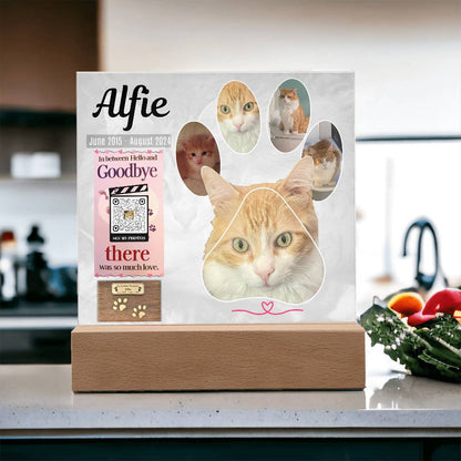 In Memory of Our Dearest Cat Alfie, June 2015 - August 2024, Acrylic Square Print - YERTIZZ.COM