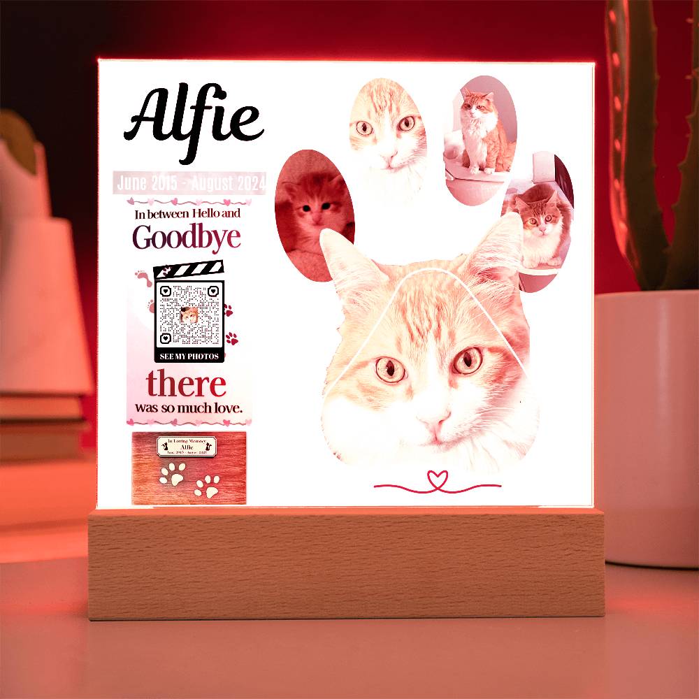 In Memory of Our Dearest Cat Alfie, June 2015 - August 2024, Acrylic Square Print - YERTIZZ.COM