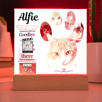 In Memory of Our Dearest Cat Alfie, June 2015 - August 2024, Acrylic Square Print - YERTIZZ.COM
