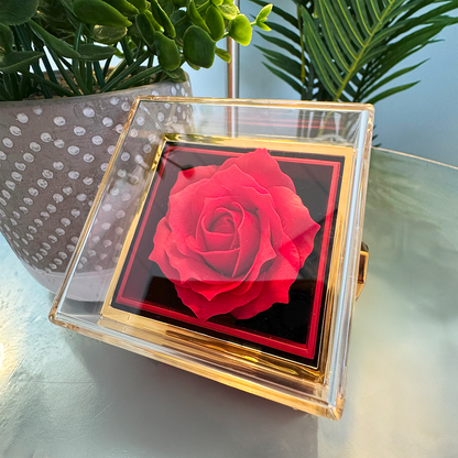 To my MOM. You are my greatest treasure! Love Knot & Rotating Rose Gift Box.