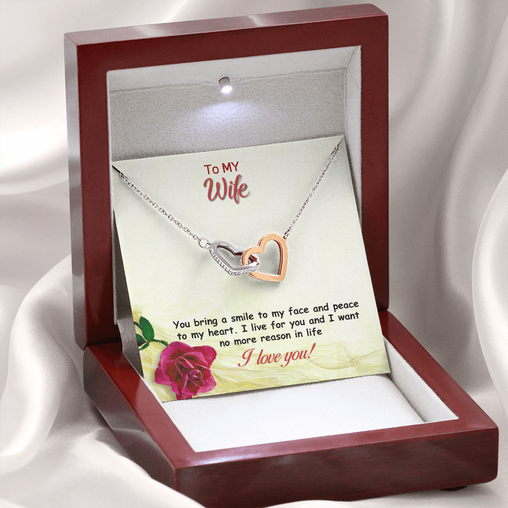 Two hearts Interlocklng, Necklace, Pendant, Love for him, her, Eternal Love